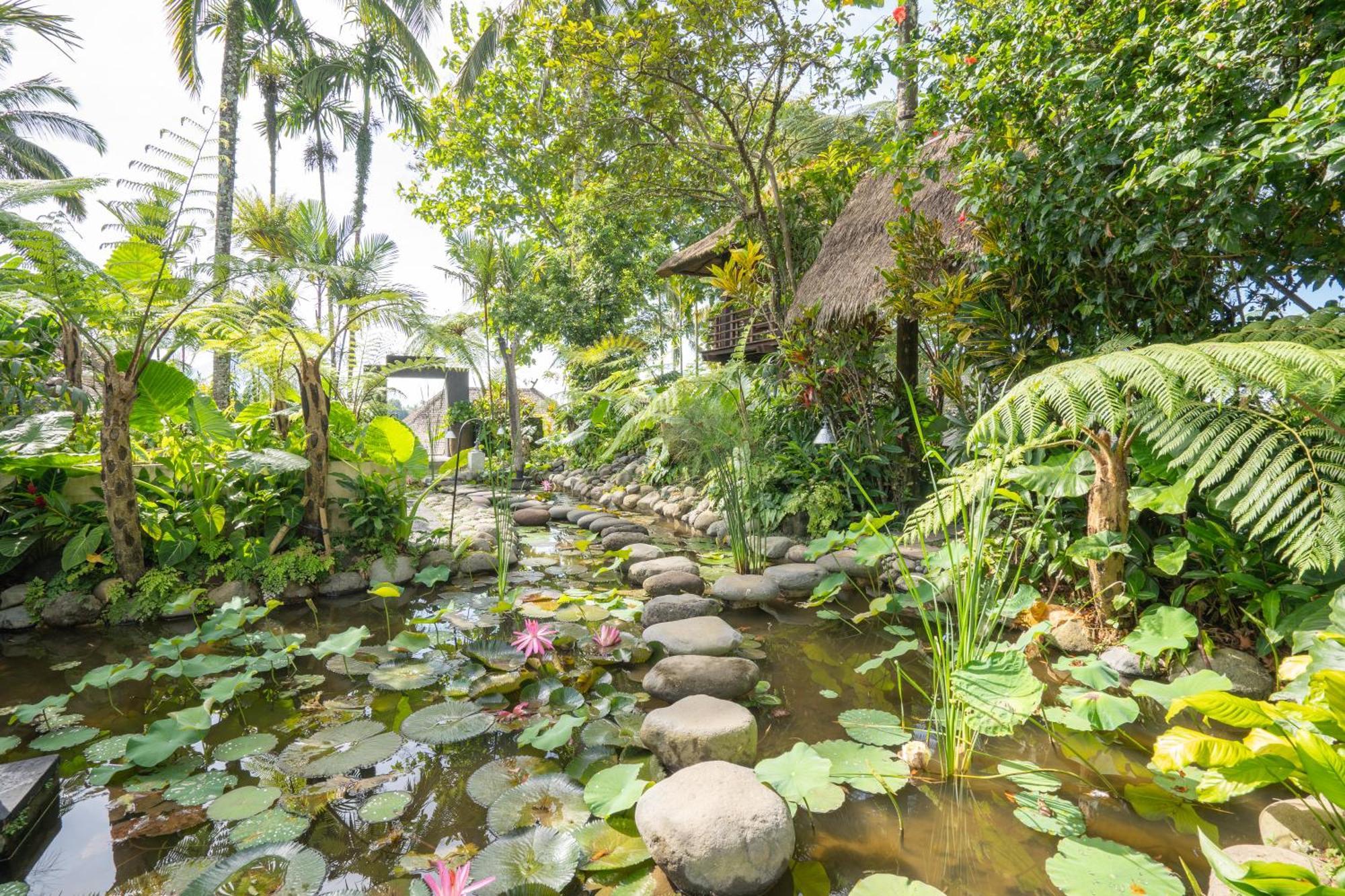 Awan Putih Resort Payangan Exteriér fotografie