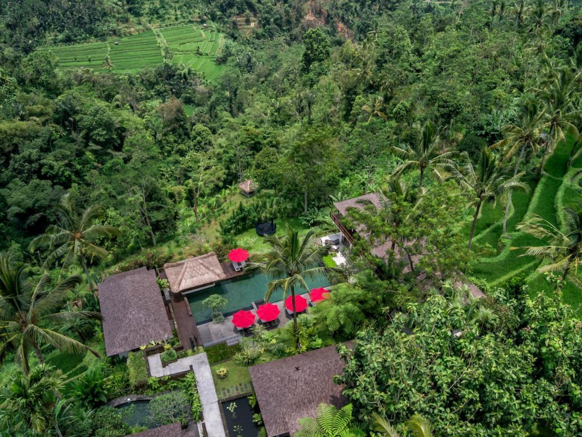 Awan Putih Resort Payangan Exteriér fotografie